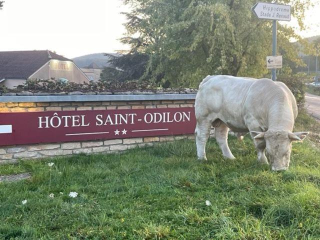 Hotel Saint Odilon 克卢尼 外观 照片